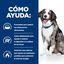 12 kg Hill's Prescription Diet Digestive Care i/d pienso para perros, , large indicador imagen numero 4